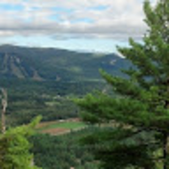 Meet your Posher, Brenda - Picture 1 of 1